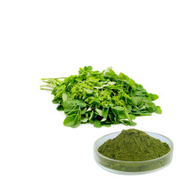 Hot sale pure natural moringa oleifera leaf extract powder